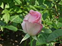 北京时光猫互联网科技有限公司