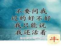 北京时光猫互联网科技有限公司