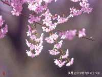 北京时光猫互联网科技有限公司