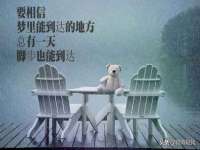 北京时光猫互联网科技有限公司