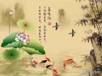 北京时光猫互联网科技有限公司