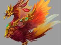 北京时光猫互联网科技有限公司