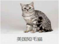 北京时光猫互联网科技有限公司