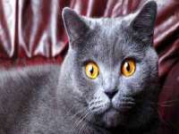北京时光猫互联网科技有限公司