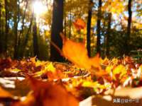北京时光猫互联网科技有限公司