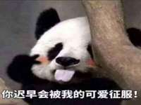 北京时光猫互联网科技有限公司