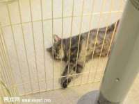 北京时光猫互联网科技有限公司