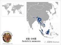 北京时光猫互联网科技有限公司