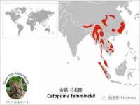 北京时光猫互联网科技有限公司