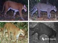 北京时光猫互联网科技有限公司