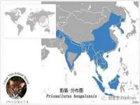 北京时光猫互联网科技有限公司