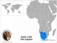 北京时光猫互联网科技有限公司