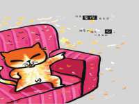 北京时光猫互联网科技有限公司