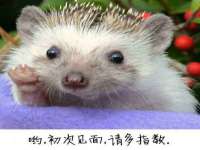 北京时光猫互联网科技有限公司