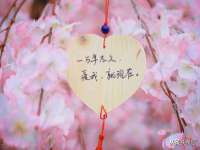 北京时光猫互联网科技有限公司