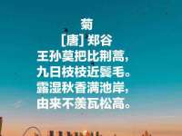 北京时光猫互联网科技有限公司