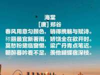 北京时光猫互联网科技有限公司