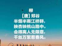 北京时光猫互联网科技有限公司