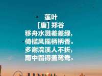 北京时光猫互联网科技有限公司