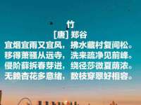北京时光猫互联网科技有限公司