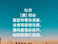 北京时光猫互联网科技有限公司