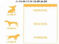 北京时光猫互联网科技有限公司