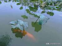 北京时光猫互联网科技有限公司