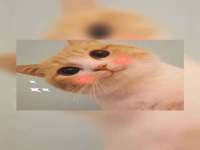 北京时光猫互联网科技有限公司