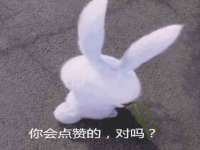 北京时光猫互联网科技有限公司