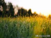 北京时光猫互联网科技有限公司