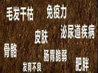 北京时光猫互联网科技有限公司