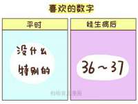 北京时光猫互联网科技有限公司