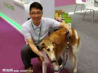 北京时光猫互联网科技有限公司