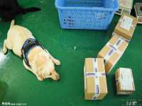 北京时光猫互联网科技有限公司
