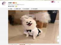 北京时光猫互联网科技有限公司