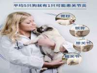 北京时光猫互联网科技有限公司