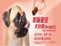 北京时光猫互联网科技有限公司
