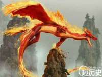 北京时光猫互联网科技有限公司