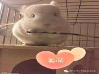 北京时光猫互联网科技有限公司