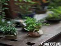 北京时光猫互联网科技有限公司