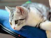 北京时光猫互联网科技有限公司