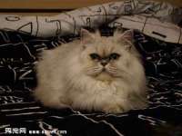北京时光猫互联网科技有限公司