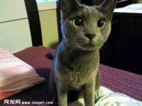 北京时光猫互联网科技有限公司