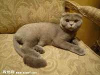 北京时光猫互联网科技有限公司