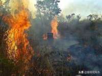 北京时光猫互联网科技有限公司