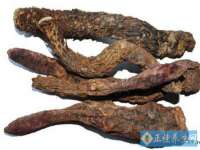 北京时光猫互联网科技有限公司
