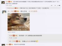 北京时光猫互联网科技有限公司