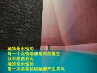 北京时光猫互联网科技有限公司