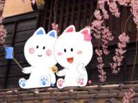 北京时光猫互联网科技有限公司