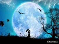 北京时光猫互联网科技有限公司